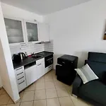 Seemöwe Binz